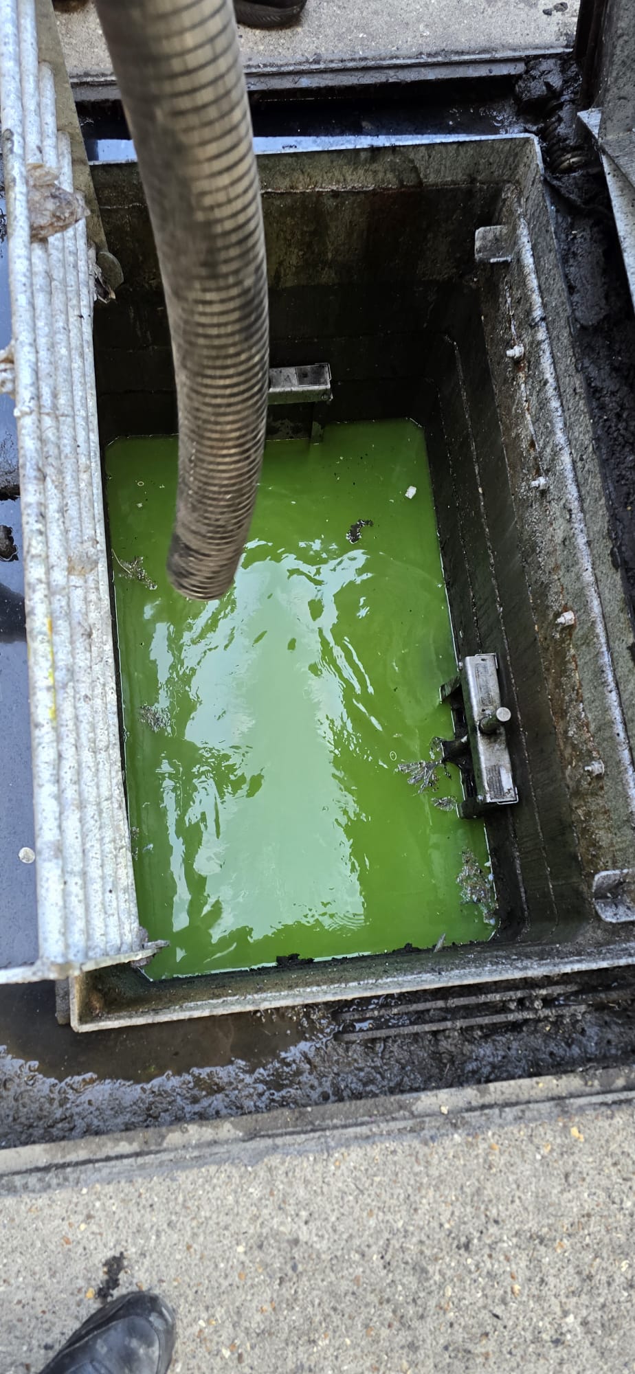 Interceptor chamber filled with dyed test water